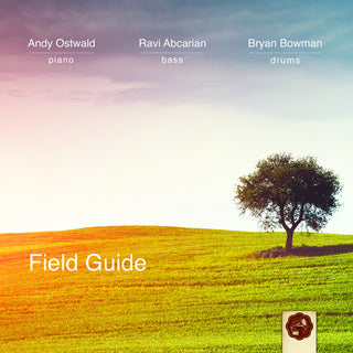 the album cover for Andy Ostwald  Trio - Field Guide