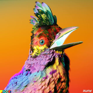 the album cover for Flume - Palaces
