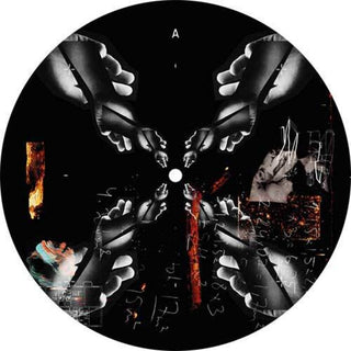 the album cover for Lilly Palmer - We Control