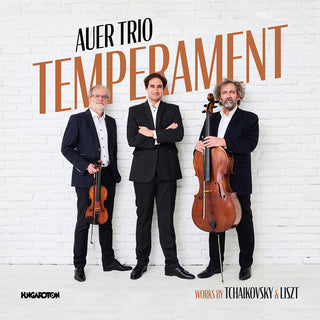 the album cover for Liszt / Balazs Fulei / Varga - Temperame