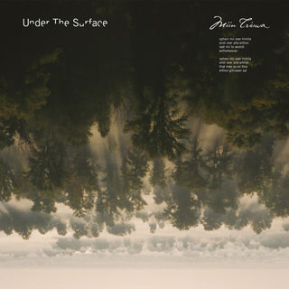 the album cover for Stadhouders / Under The Surface - Miin Triuwa