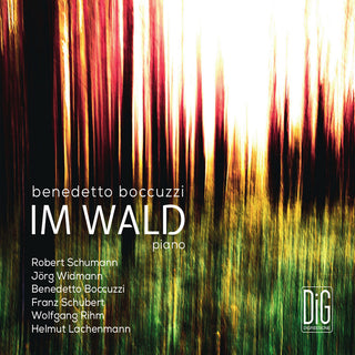 the album cover for Boccuzzi / Boccuzzi - Im Wald