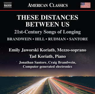 the album cover for Brandwein / Koriath / Brandwein - These Distances Between Us