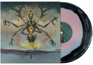 Exocrine- Hybrid Suns