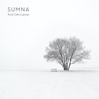 the album cover for Biber / Cahn-Lipman - Sumna