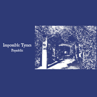 Impossible Tymes- Popadelic