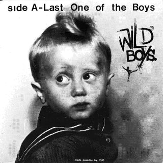 the album cover for Wild Ones - Wild Boys - Last One Of The Boys / We're Only Monsters