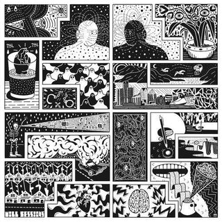 Will Sessions- Electromagnetic Reality