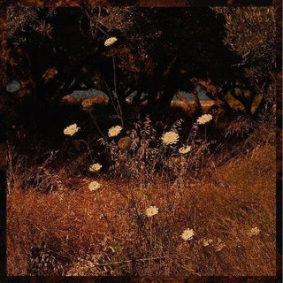 Szun Waves- Earth Patterns (Vinyl)