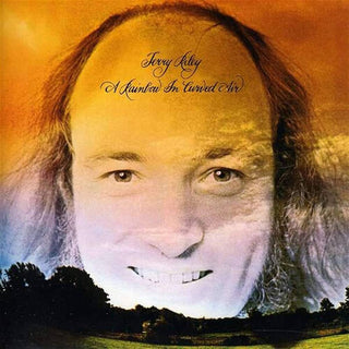 Terry Riley- A Rainbow In Curved Air