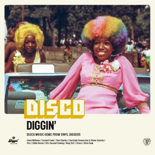 Various Artists- Disco Diggin / Various