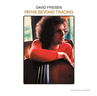 the album cover for David Friesen - Paths Beyond Tracing (Uk)