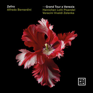 the album cover for Grand Tour A Venezia / Various - Grand Tour A Venezia / Various