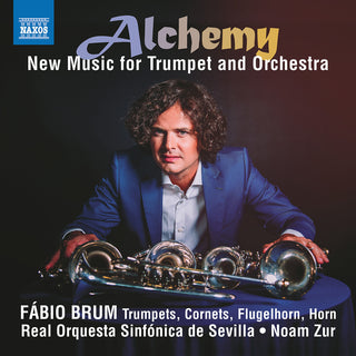 the album cover for Cervo / Brum / Zur - Alchemy