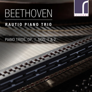 the album cover for Beethoven / Rautio Piano Trio - Piano Trios 1 1 & 2