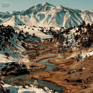 Will Sheff- Nothing Special (Indie Exclusive Vinyl)