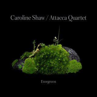 the album cover for Caroline Shaw & Attacca Quartet - Evergreen
