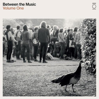 Various Artists- End Of The Road Presents: Between The Music / Var (Vinyl)