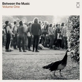 Various Artists- End Of The Road Presents: Between The Music / Various - White Colored Vinyl