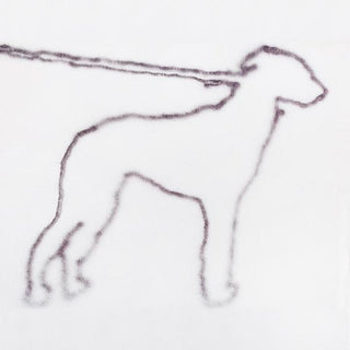the album cover for Jonah Yano - Portrait Of A Dog