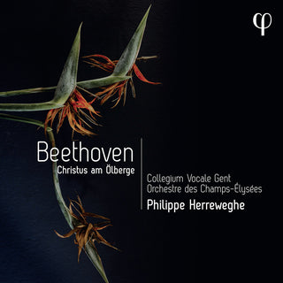 the album cover for Collegium Vocale Gent / Orch Des Champs-Elysees - Beethoven: Christus Am Olberge