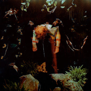 the album cover for Cavetown - worm food