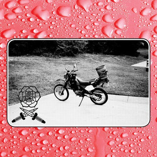 Bass Drum of Death- Say I Won't (Indie Exclusive)