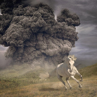the album cover for The White Buffalo - Year Of The Dark Horse