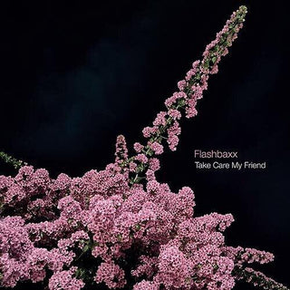 Flashbaxx- Take Care My Friend