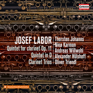 the album cover for Labor / Johanns / Karmon - Clarinet Quintet