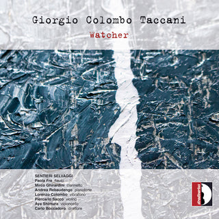 the album cover for Taccani / Selvaggi / Sacco - Watcher