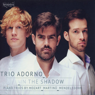 the album cover for Mendelssohn / Trio Adorno - In The Shadow
