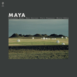 Omer Gorveen- Maya