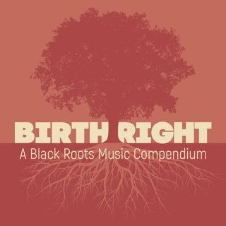 the album cover for Various Artists - Birthright: A Black Roots Music Compendium [2CD]