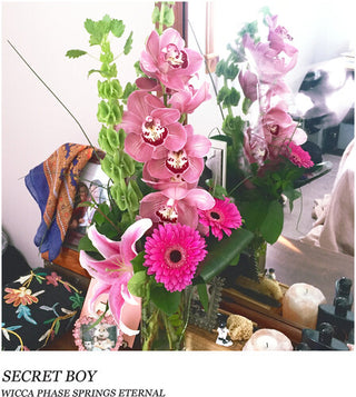 Wicca Phase Springs Eternal- Secret Boy - Doublemint Green