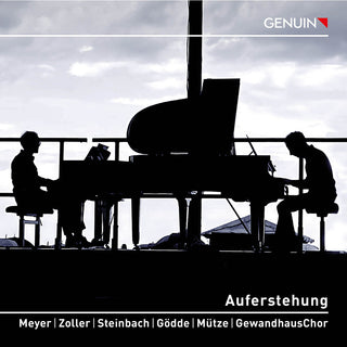 the album cover for Mahler / Meyer / Zoller - Auferstehung