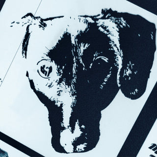 the album cover for Michael Leonhart  Orchestra - Denial - O.S.T.