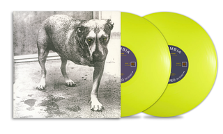 the album cover for Alice In Chains - Alice In Chains (30th Anniversary Reissue) [Colored Vinyl]