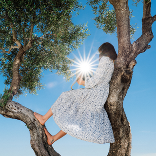 the album cover for Eaves Wilder - Little Miss Sunshine