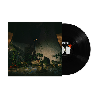 the album cover for The Plot In You - The Plot In You