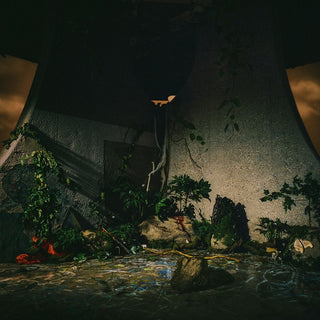 the album cover for The Plot In You - The Plot In You [Hardwood]
