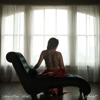 the album cover for Pimmie - Don't Come Home