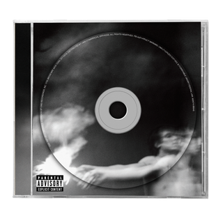 the album cover for Nate Sib - Reborn