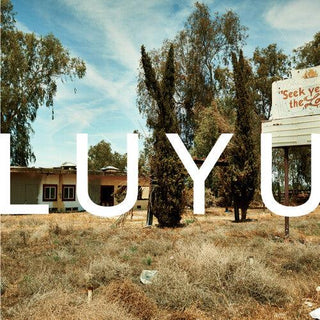 K. Leimer- Luyu