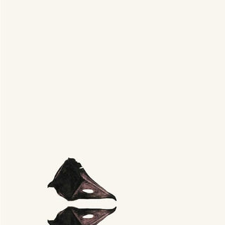 Coil- The New Backwards