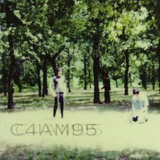 The Fucking Champs- III (Vinyl)
