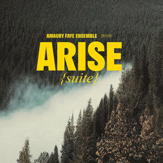 the album cover for Amaury Faye  Ensemble - Arise (Suite) [Digipak]