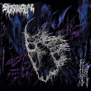 the album cover for Spectral Voice - Eroded Corridors Of Unbeing