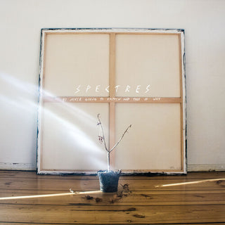 Spectres- It's Never Going To Happen And This Is Why