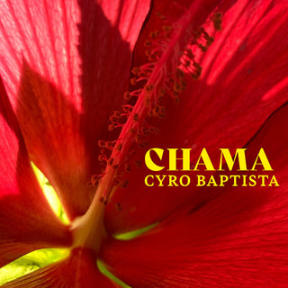 the album cover for Cyro Baptista - Chama